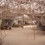 arab-alas_3