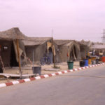 arab-alas_5