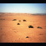 arab-desert_4
